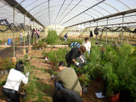 2010 Taller d'ocupaci