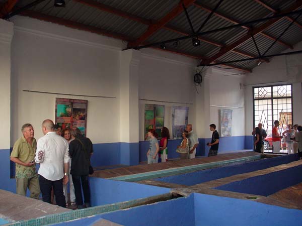 Exposici llavaner